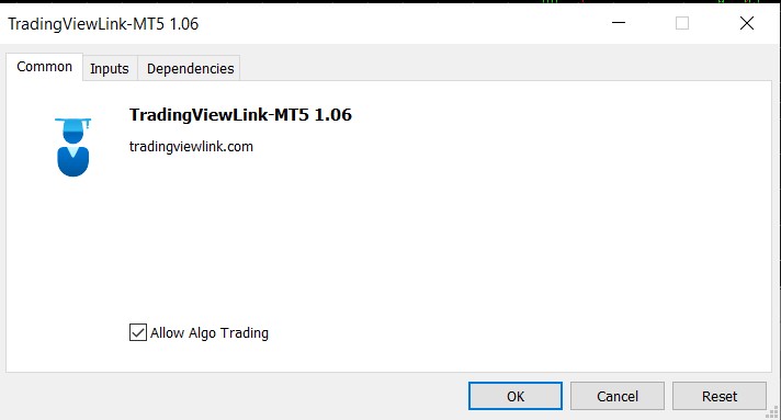 Screenshot of MT5 EA properties Common tab.